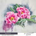 peonies IV (T2) / Watercolour 34x40cm  Arches CP © janinaB. 2016