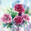 peonies II (18) / Watercolour 31x41cm Arches CP © janinaB. 2016