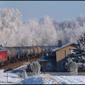 Frostige Nächte verwandelten die Landschaft in ein weisses Wintermärchen. Am 01.02.2011 konnte 241 449 beobachtet werden.