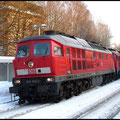 Gleich darauf poltert der Gipszug mit Vorspannlok 233 525 durch den Hp. Borna.