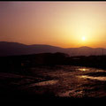 Sonnenuntergang überm Reisfeld