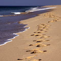 Truro, Cape Cod, Massachusetts.