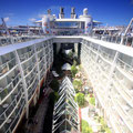 Le “Central Park” de l’Oasis of the Seas