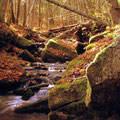 Sentier des Trotteurs, Ste-Hélène-de-Chester