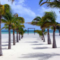 Isla Pasion (Île de la Passion) près de l'Île de Cozumel, Mexique