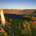 Parc national de la Gaspésie