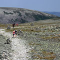 Sommet du Mont Jacques-Cartier, Parc national de la Gaspésie
