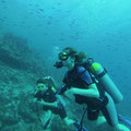 Erster Tauchgang in Curacao mit Curios2Dive