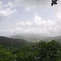 Blick über den Regenwald von Martinique