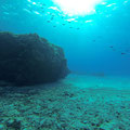 Tolle Unterwasseraufnahmen