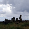 Und immer wieder ein stehender in der Landschaft