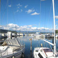 Murten Hafen