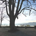 Schlossterrasse