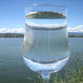 Prosit Murtensee