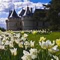 Chateau de Chaumont sur Loire