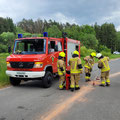 17.05.2025 | Beseitigung einer Ölspur