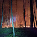 16.04.2025 | Wald- und Vegetationsbrand