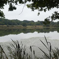 Roddermaar
