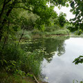 Blick auf den Untersee