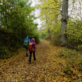 Durch den Herbstwald über die Wolkenburg
