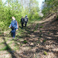 Durch den Münstereifeler Wald Richtung Decke Tönnes