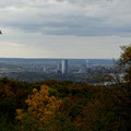 Blick vom Stenzelberg auf Bonn