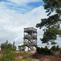 Weiselstein