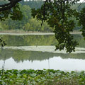 Roddermaar
