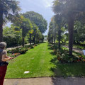 An der Palmenallee im Botanischen Garten