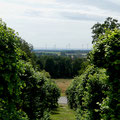 Blick vom Swister Türmchen nach Südwesten