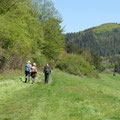 Endlich mal wieder im wunderschönen Sahrbachtal