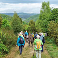 Rückweg zum Staffeler Bach