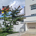 Deutscher Bundestag, Bonn