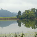 Roddermaar