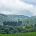 Auf dem Wacholderweg