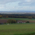 Blick von Weiler am Berge in die Zülpicher Börde