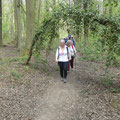 Durch den Wald zum Swister Turm