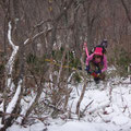 松尾山稜線までの急坂。雪と落葉が絡み、足が滑って大変。