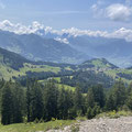 Arvenbüel