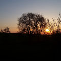 Ferienwohnung Dietsch Festenbergsgreuth, im Naturpark Steigerwald in Franken, Sonnenaufgang