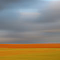 rotes feld #1