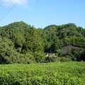 陶房から見る北側の風景