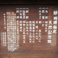 将軍スギの説明