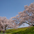 山梨県