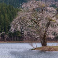 新潟県