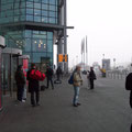 Foggy day