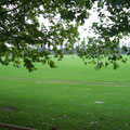 green. view from  Zizi restaurant Cam. UK.