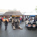 Camden