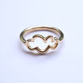 Ring Wolke