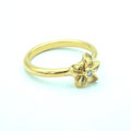 hawaii blume
